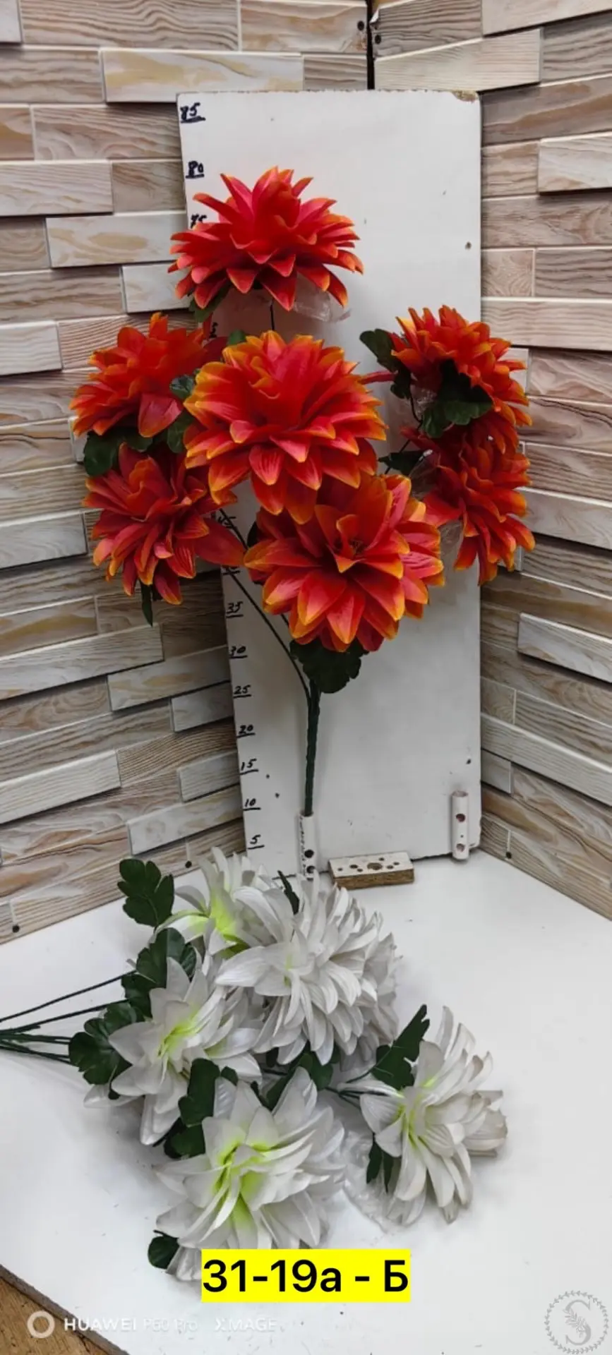 https://vk.com/photo-184814919_493089694