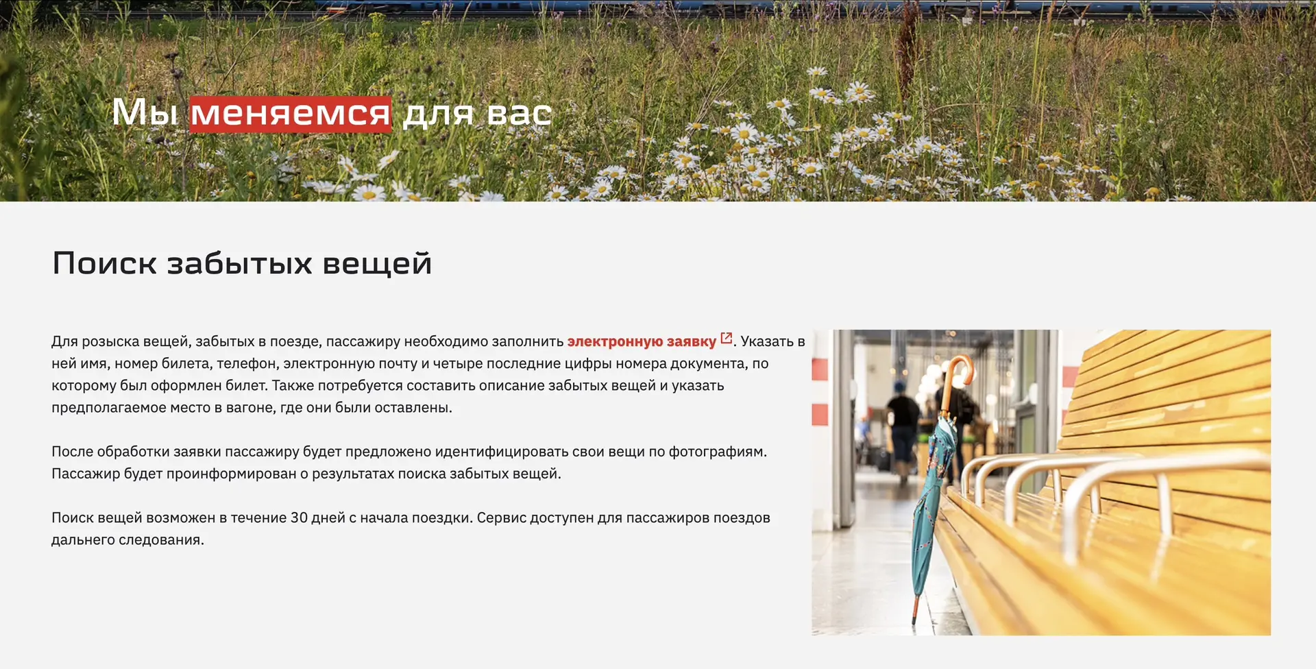 Ищем, находим и возвращаем пассажирам!

Сегодня отмечаем День находок и напоминаем про онлайн-сервис