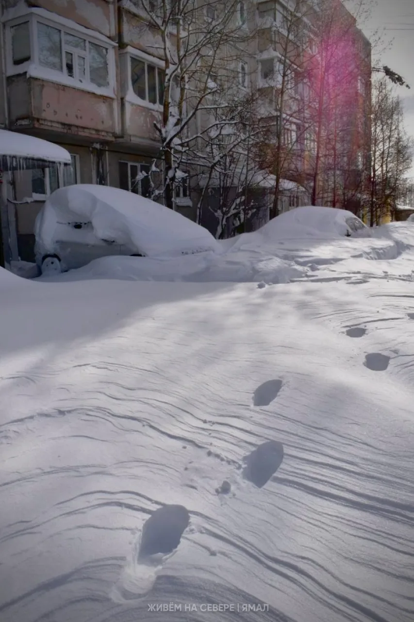 Ещё немного снежного контента ☃️  В этот раз добавим контрастности из Большого Приуралья, где солнце
