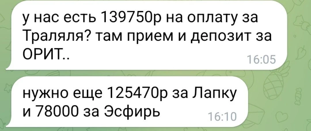 Друзья, очень просим принять любое посильное участие. Час пробил...  Помочь можно:  - по СБП  - любы