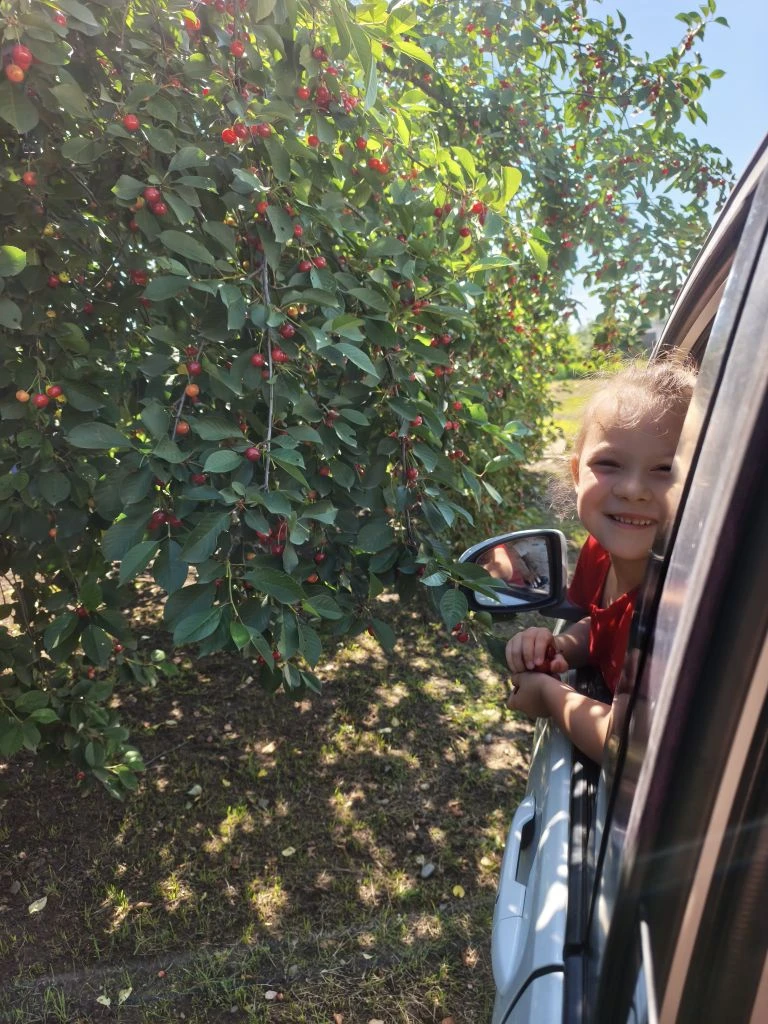 Сладкая 🍒 вишенка.