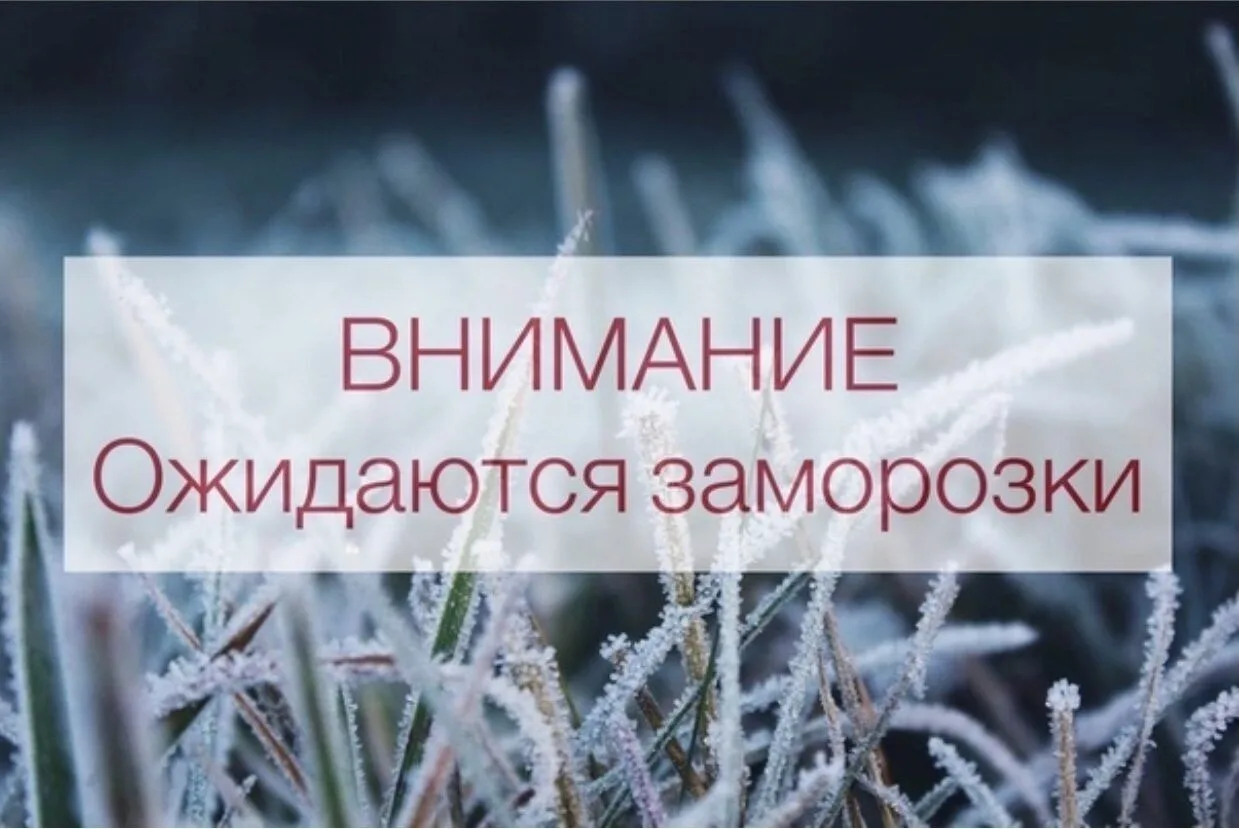 ШТОРМОВОЕ ПРЕДУПРЕЖДЕНИЕ