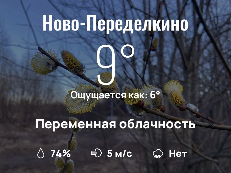 Что с погодой в Ново-Переделкино?