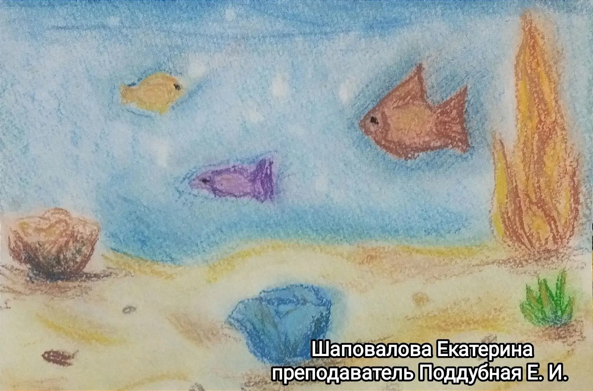 Онлайн выставка  работ уч-ся «Подводный мир» 🌊🐬 в рамках мероприятий подросток- каник...