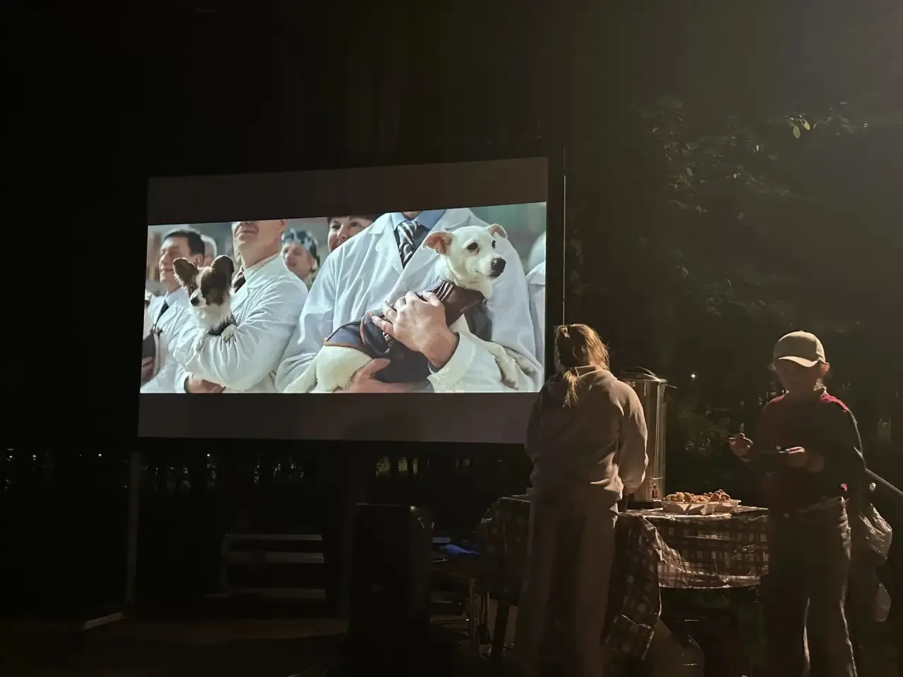 🎬27 августа в Железногорске-Илимском прошли кинопоказы, приуроченные ко Дню российског...