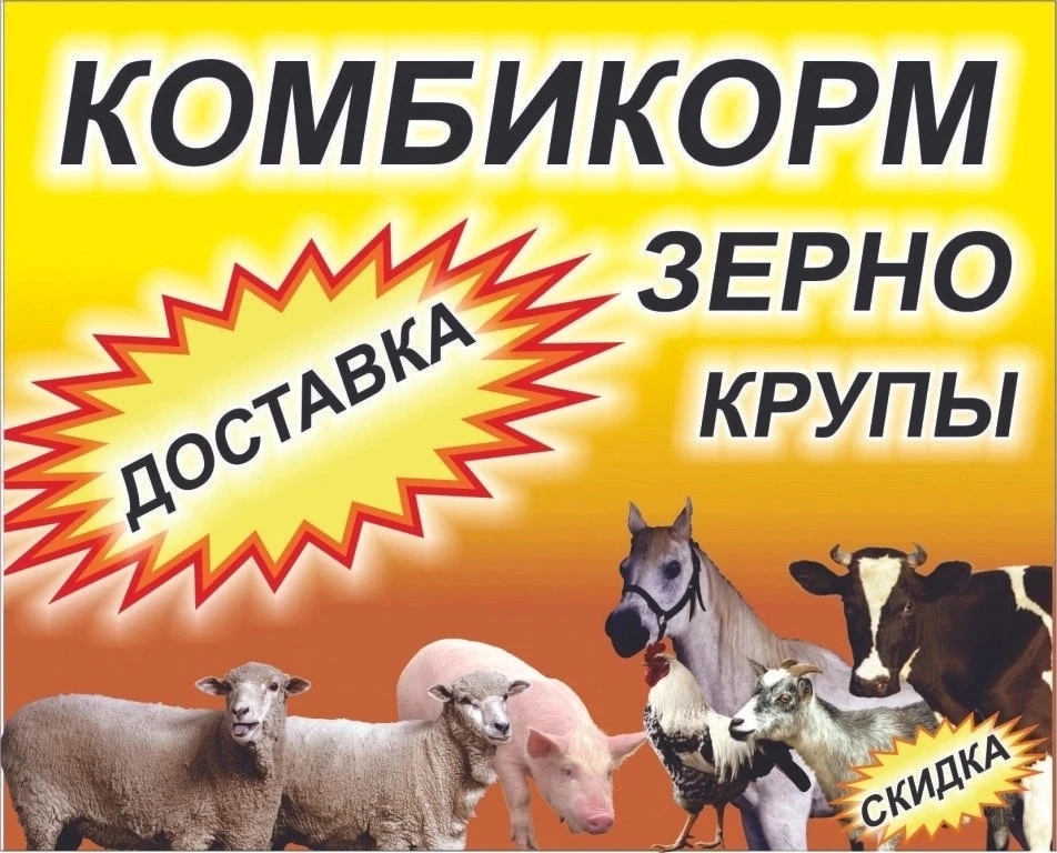 Предлагаем Вашему вниманию зерновые культуры и комбикорма! Цены от 1 тонны.
Продукция фасована по 30