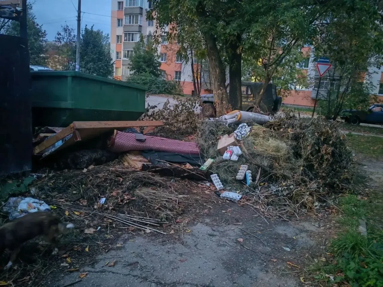 От подписчика: