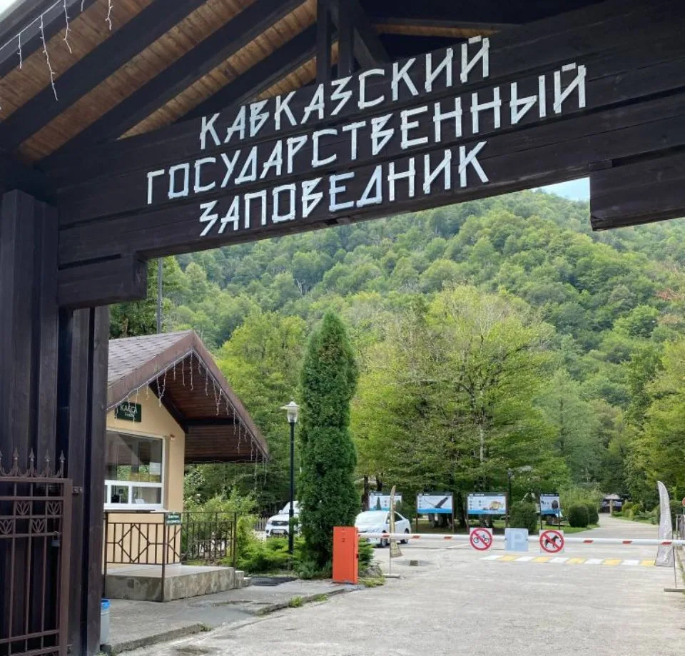 В Сочи судят новое руководство заповедника и нацпарка

На скамье подсудимых оказались Владимир Титов