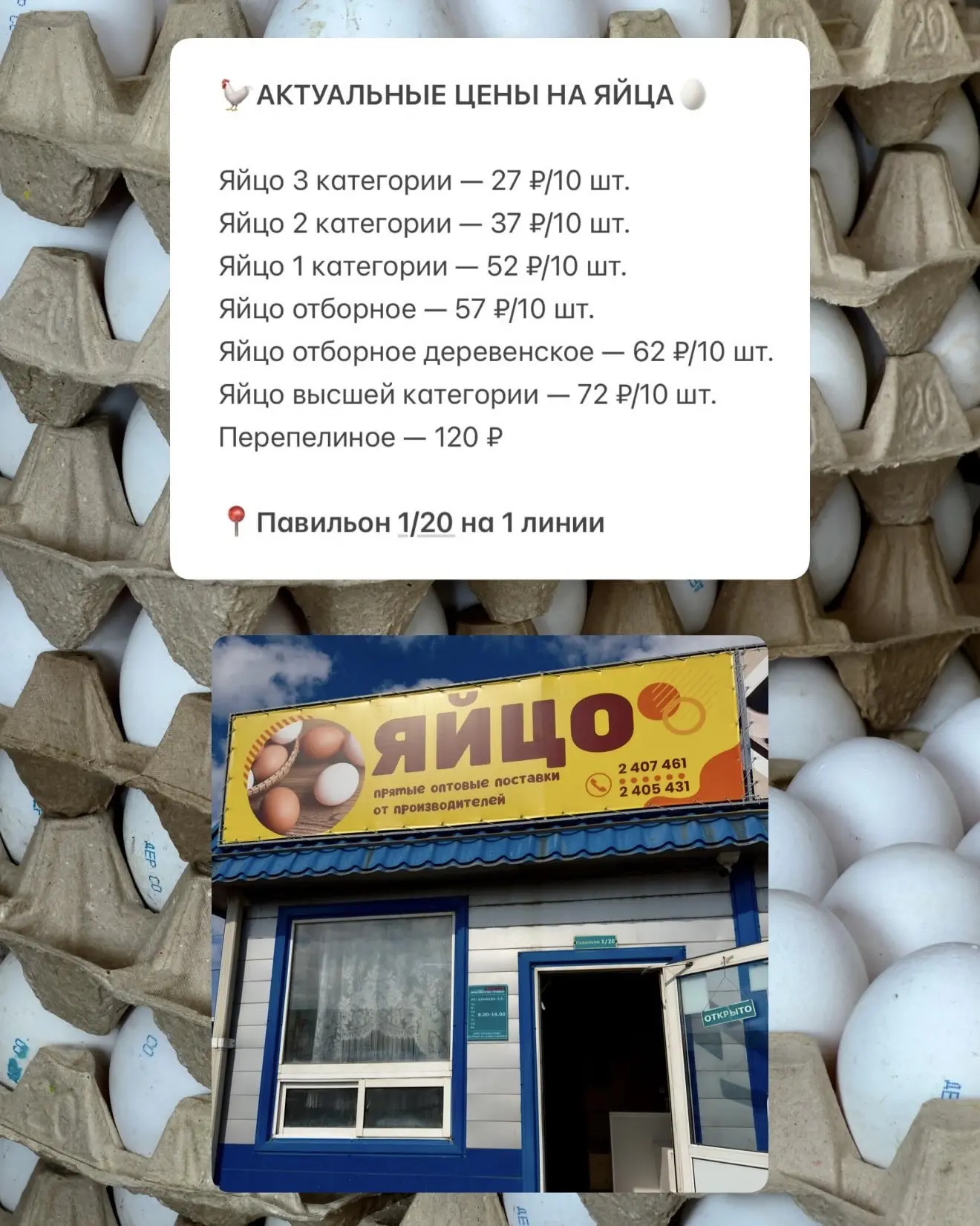 Подпишись на нас в МАХ🍏