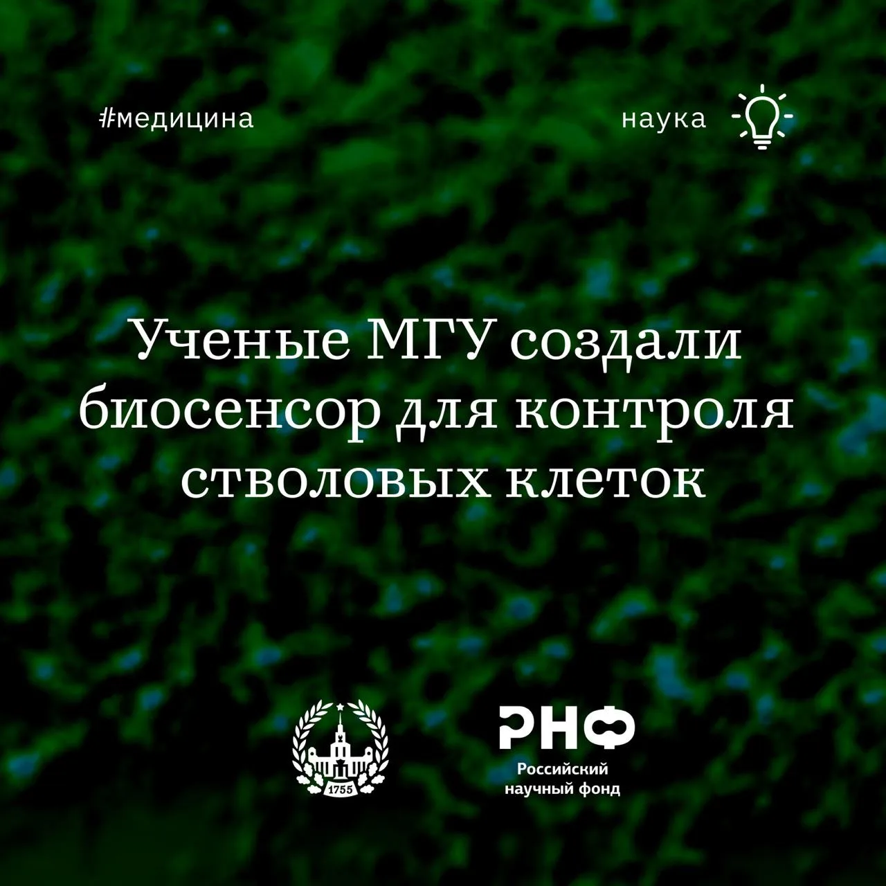 В МГУ создали флуоресцентный биосенсор для регенеративной медицины