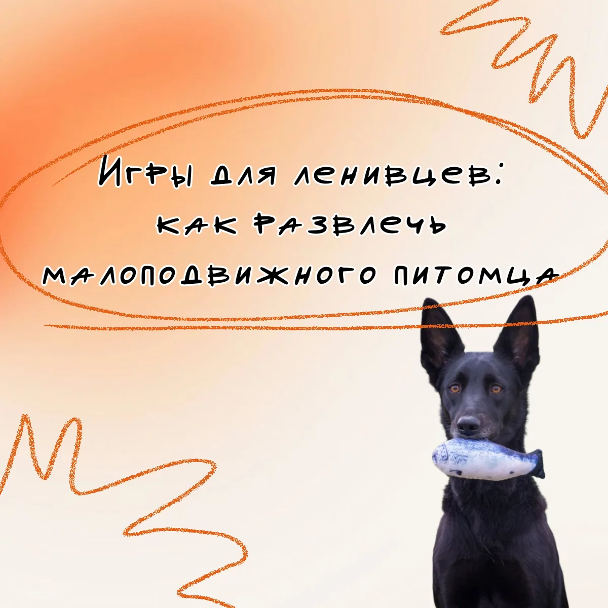 ПУШИСТАЯ НЕДЕЛЯ С БВМ ПРОДОЛЖАЕТСЯ💚