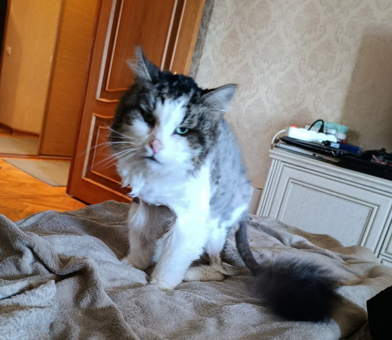 Так на вас на всех смотрю