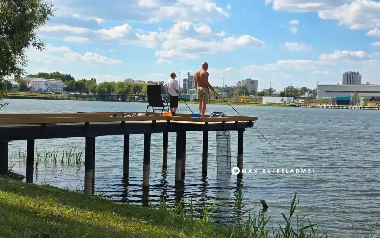 Доброе утро, Белгород! ☀️