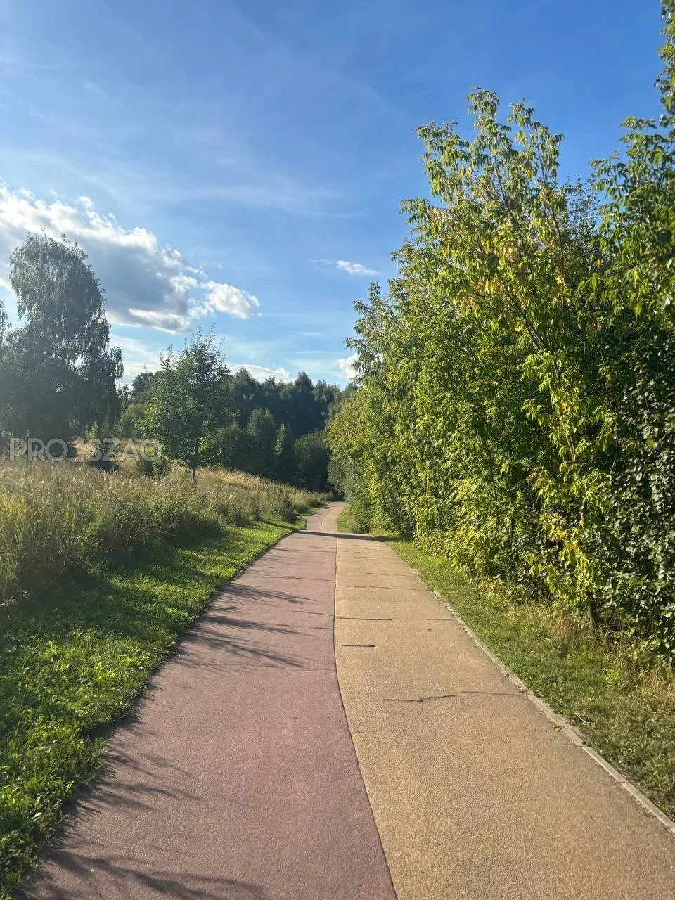 🌳Парк «Северное Тушино» в последние дни лета