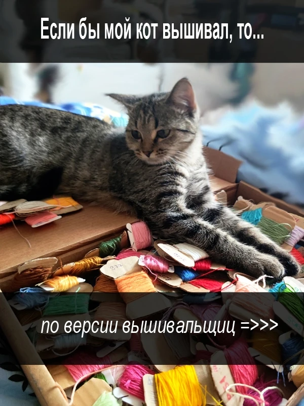 Провели небольшой опрос среди участниц нашего КЛУБА на тему "Если бы мой кот вышивал, т...