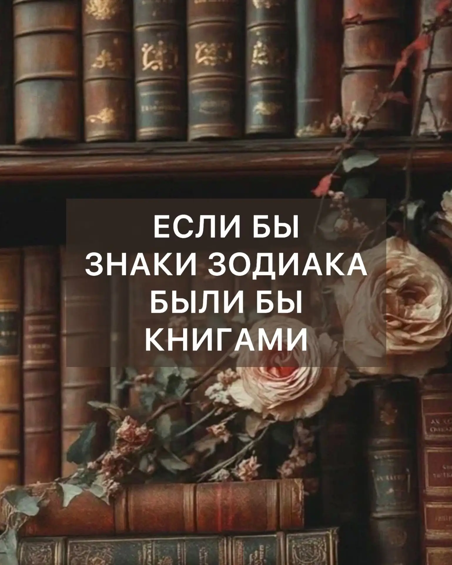 🍂 Рубрика: Книжный уют