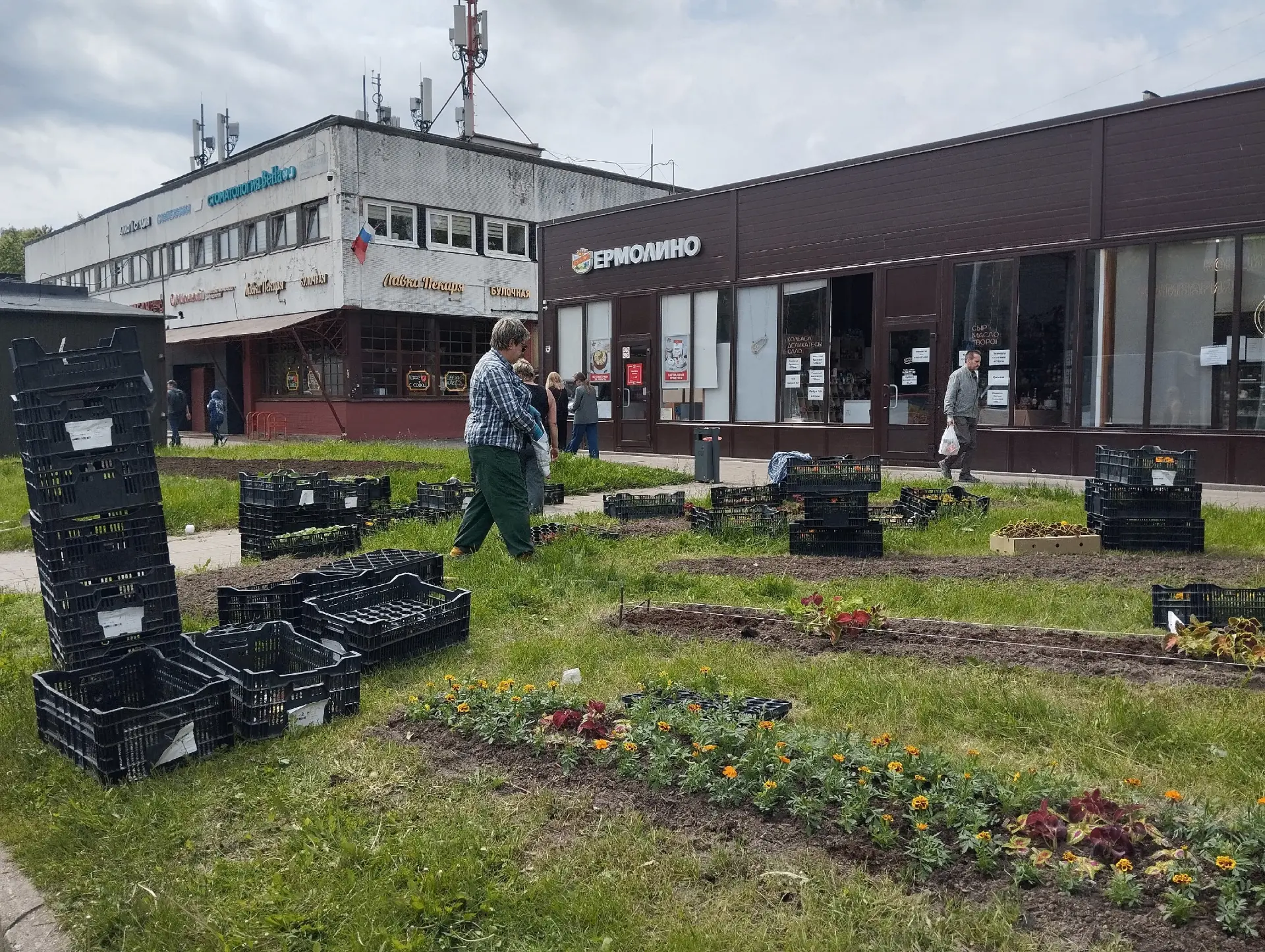 🌼Продолжаем следить, как преображаются цветники в нашем округе.