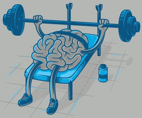 🏃🧠 Физическая активность и хорошая память

👉 У памяти есть физический носитель - это синапсы межд