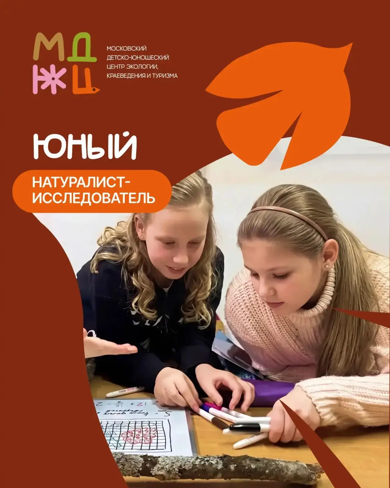 Осень зовёт в лес – за открытиями!