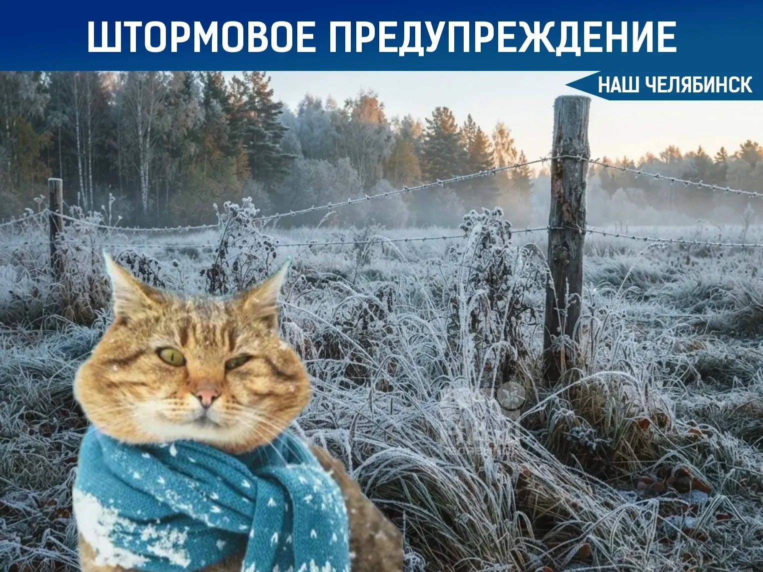 🌨 Синоптики прогнозируют сильные осадки и гололед