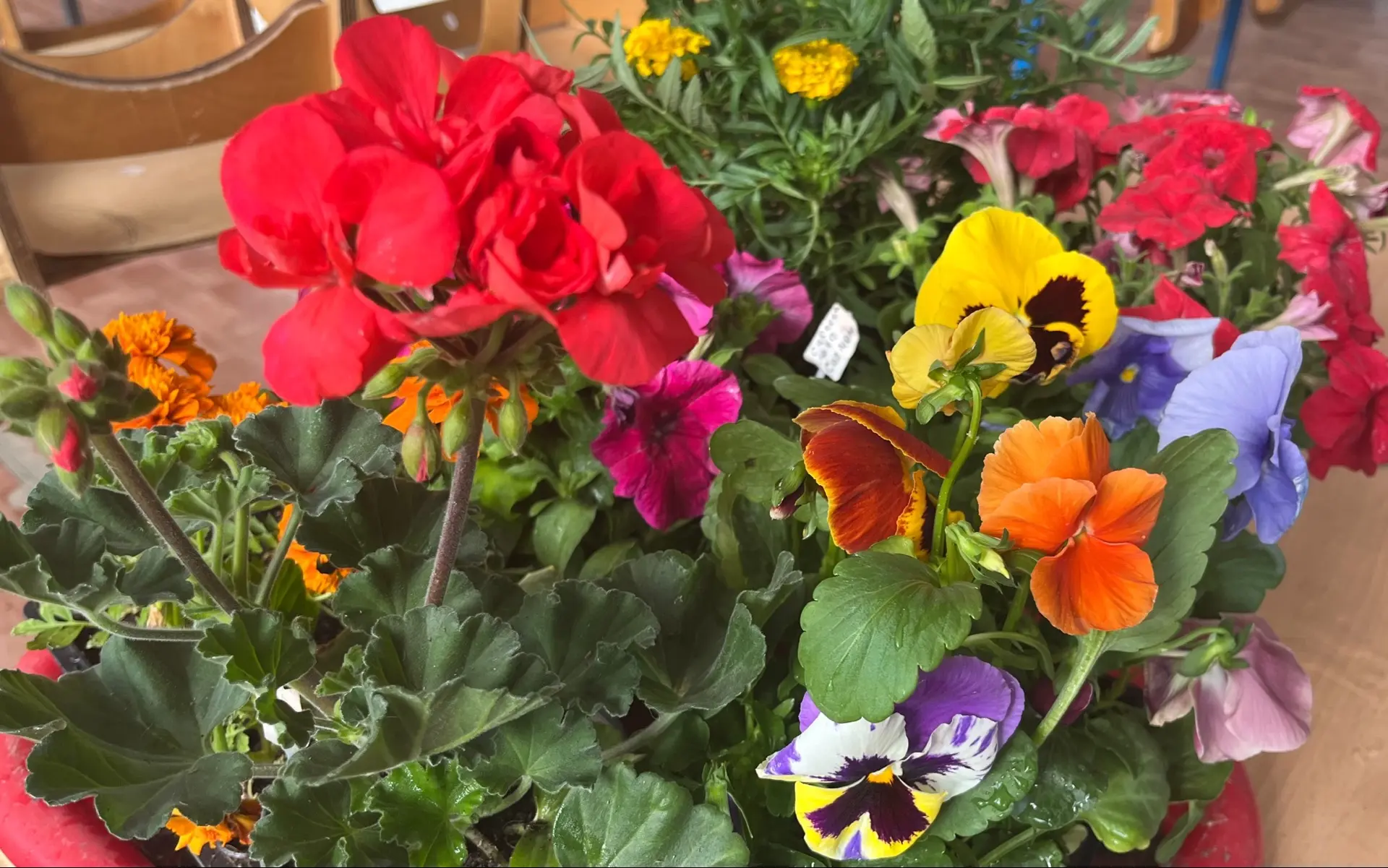 ☀️А вот и первые участники нашей акции🌸