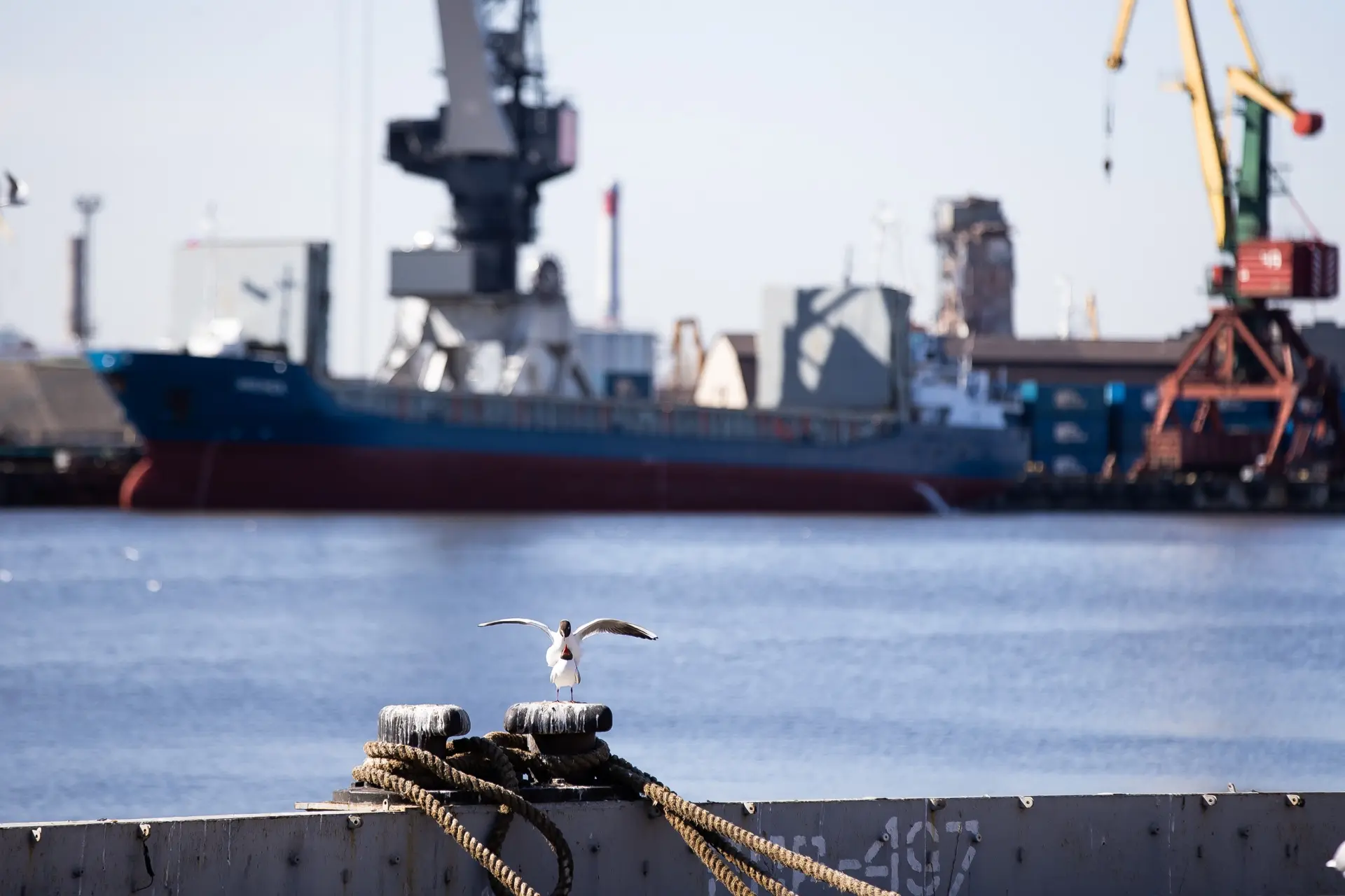 Порты Балтийского моря остаются в минусе на фоне роста грузооборота российских гаваней

Порты Балтий