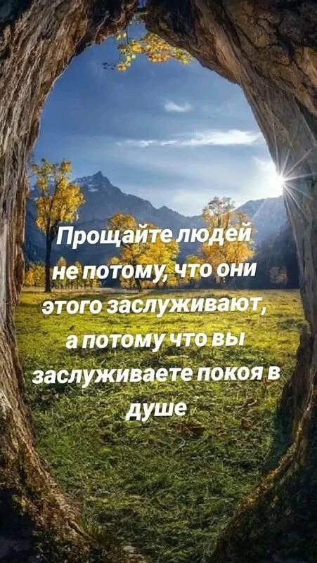 ☀️🌿☀️🌿☀️