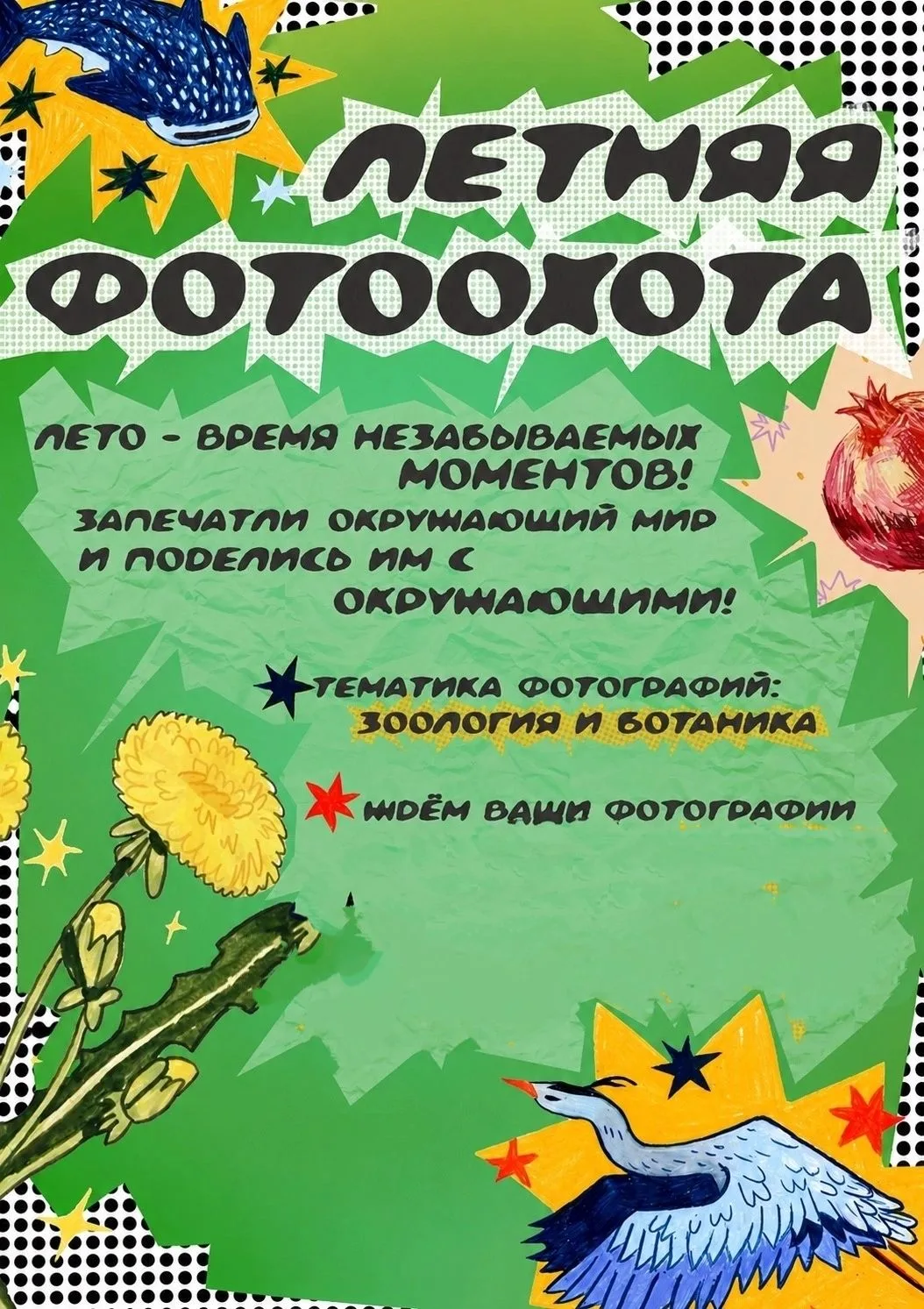 📸Летняя фотоохота 

Лето — время, которое ждёт каждый!
Это время полное открытий, незабываемых моме