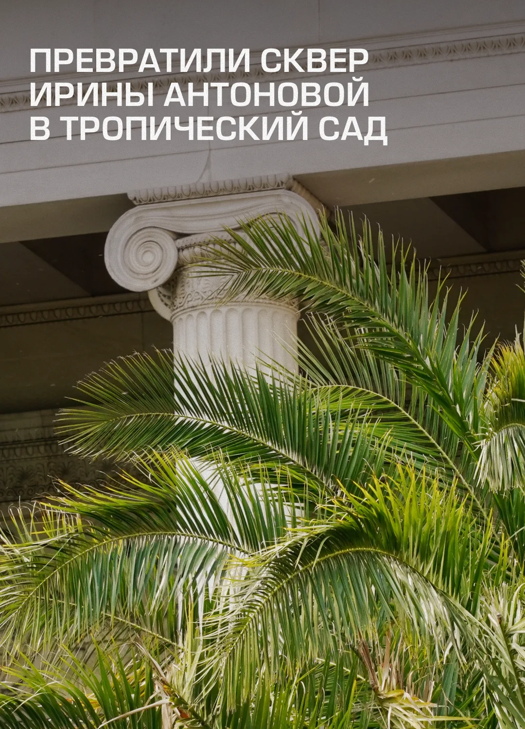 Вот и лето прошло