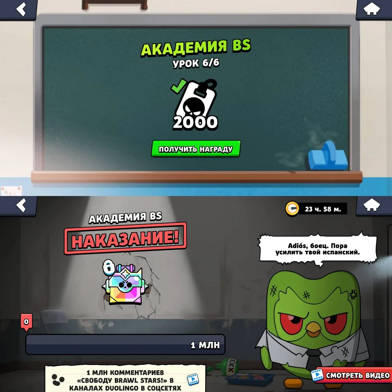 🎁Финальная халява от Duolingo уже доступна