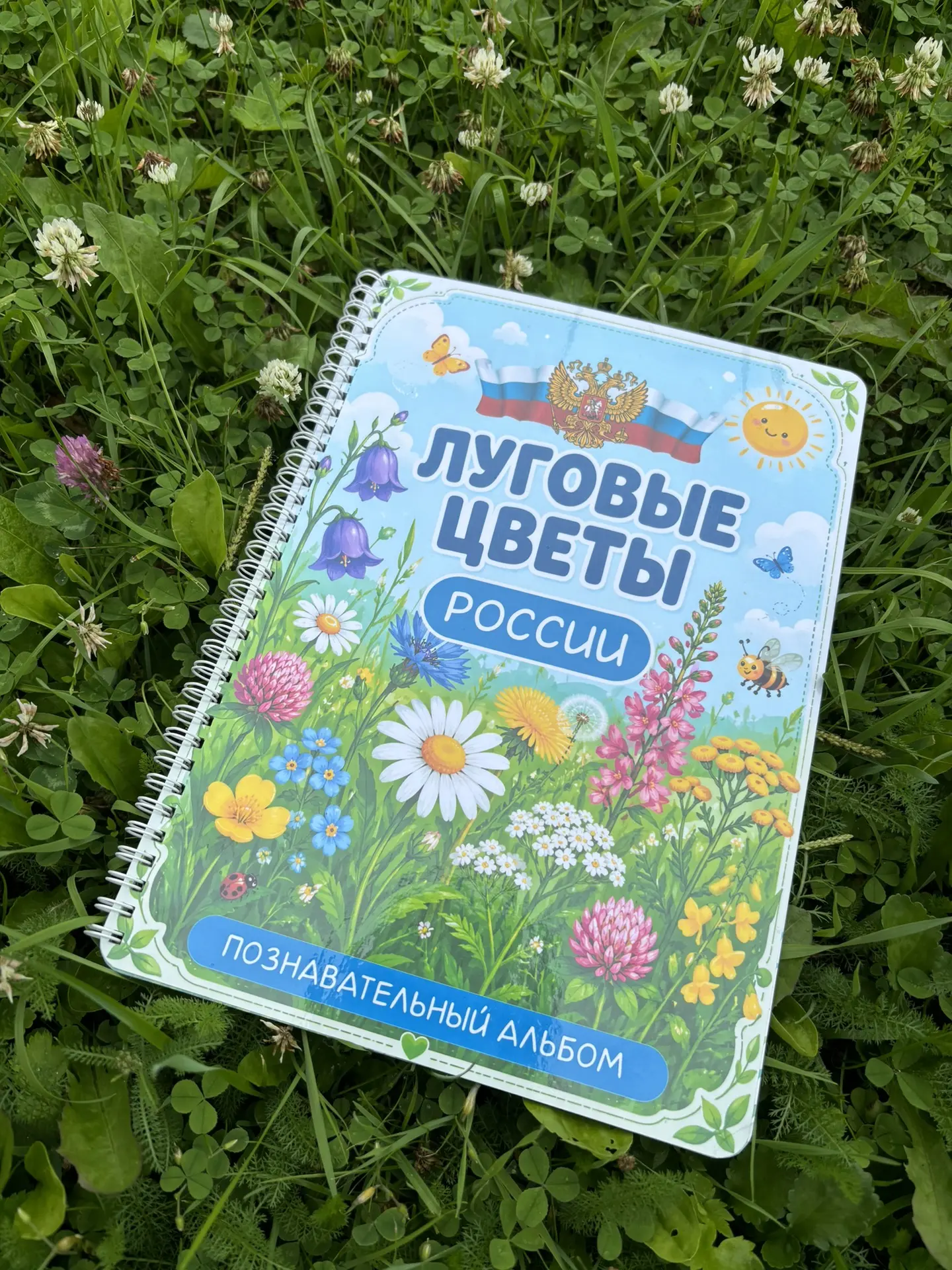 ‼ НОВИНКА ‼