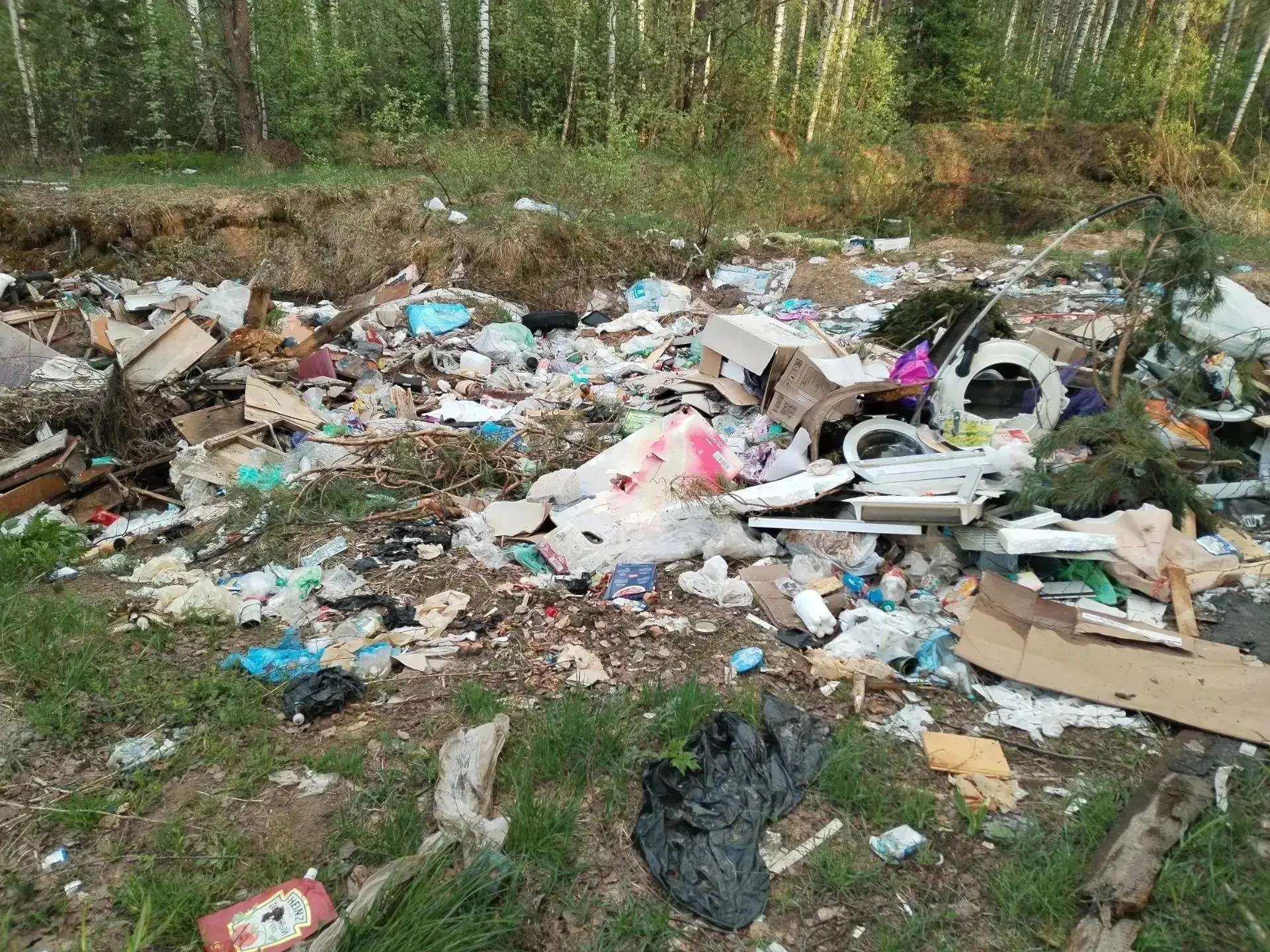 🌿 В Борском муниципальном округе прошла природоохранная акция «Чистый лес».