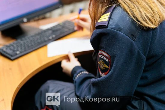 «Дёргал ручки, нашёл незапертую»: ковровчанин обвиняется в краже одежды и продуктов из ...