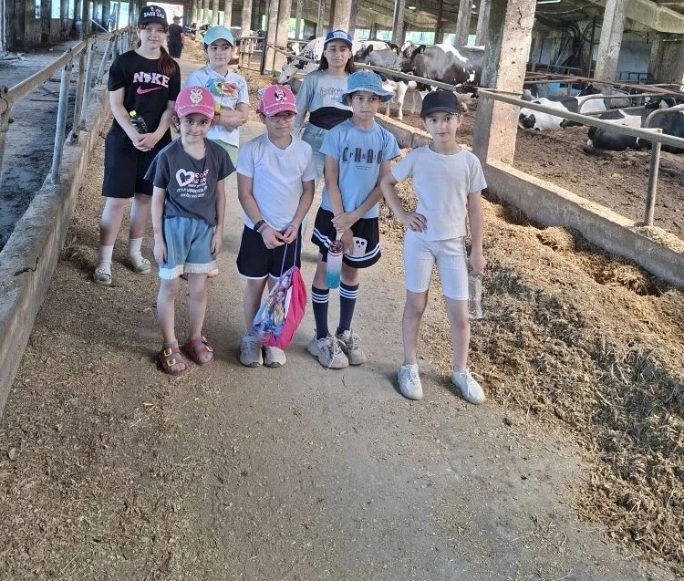 🐮🐃ЭКСКУРСИЯ НА МОЛОЧНУЮ ФЕРМУ🐂

☀Солнечное утро, лёгкий ветерок и путешествие на ферму — так нача