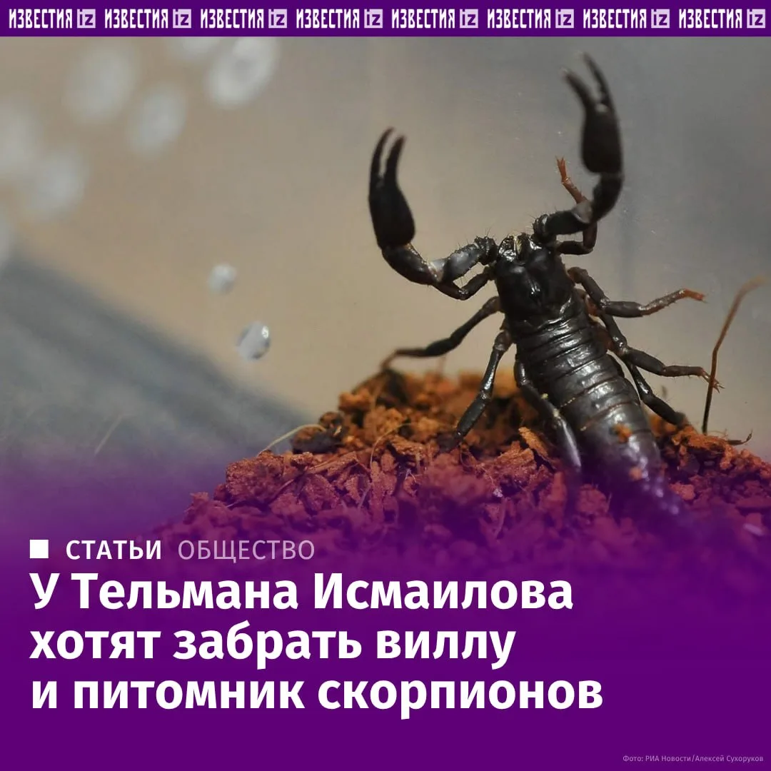 Семья беглого экс-владельца Черкизовского рынка Тельмана Исмаилова обзавелась виллой и ...