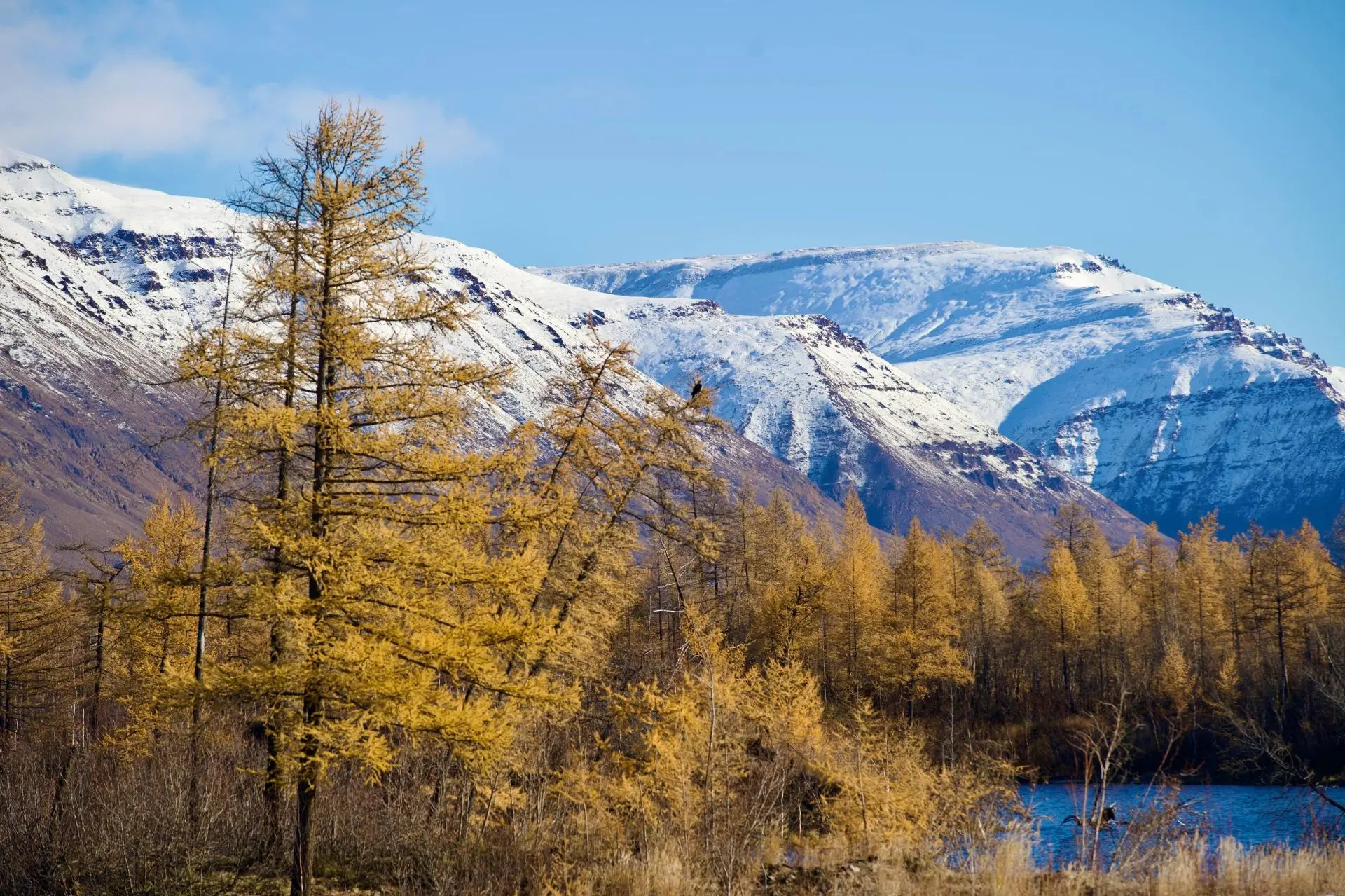 🏔 Еще по-осеннему яркие, но уже припорошённые снегом Хараелахские горы.