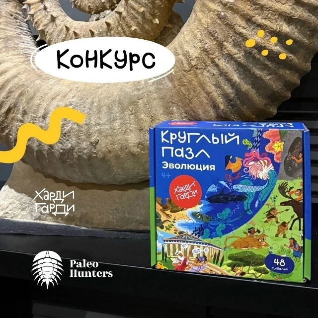 Друзья! В нашей группе Вконтакте мы проводим конкурс в соавторстве с единственным частн...