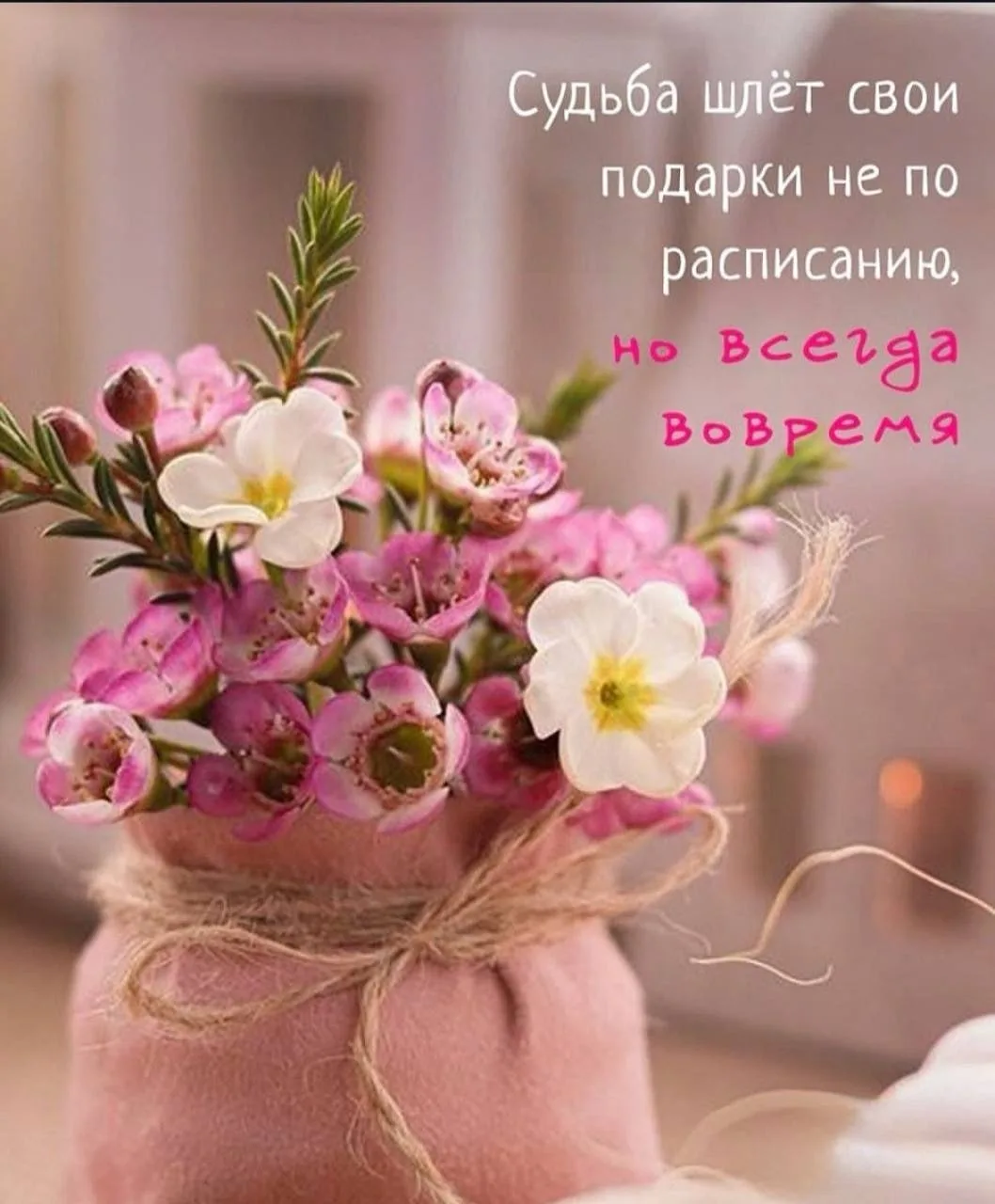 Красота слов