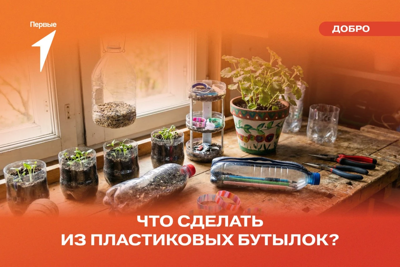 🍾 Что делать с пластиковыми бутылками? Показывает Движение Первых!