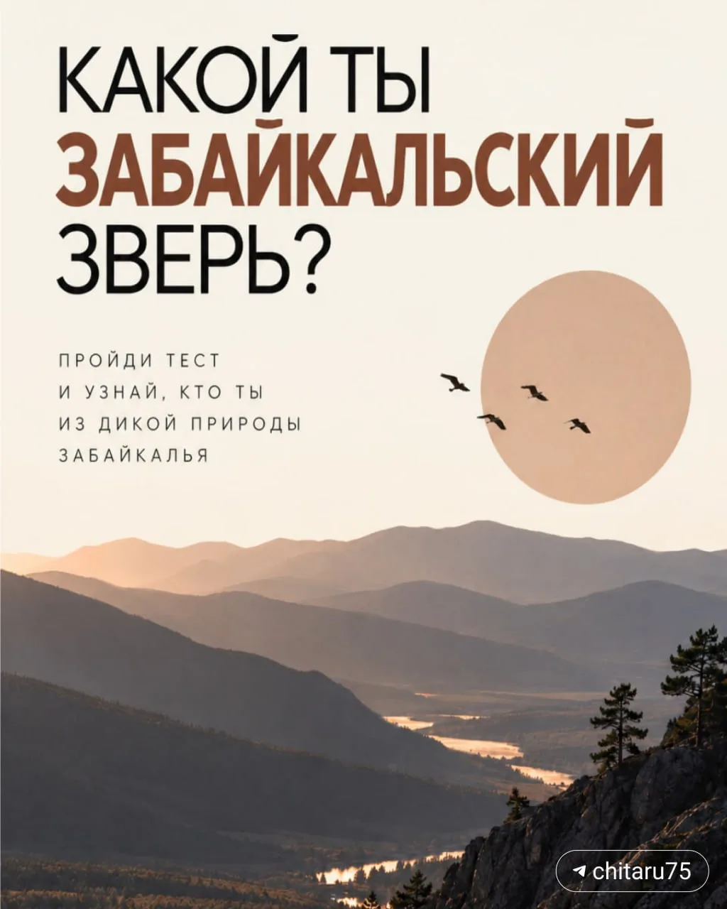 У каждого забайкальского зверя свой характер: кто-то более спокойный, а кто-то не любит...