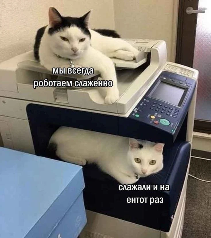 🤖 ИИ не заберёт вашу работу. Он заберёт ваши недоработки.