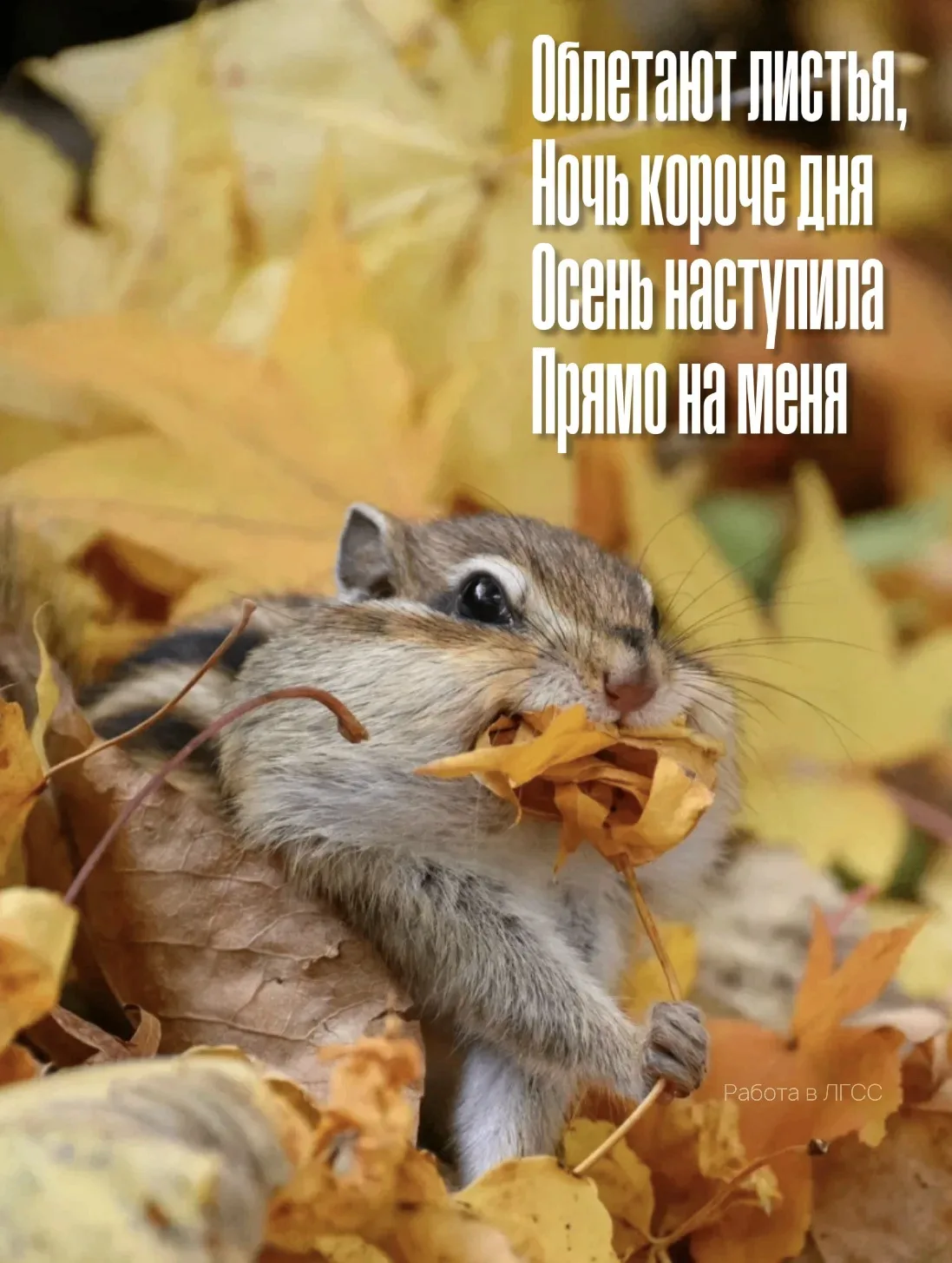 Требуются водители погрузчика