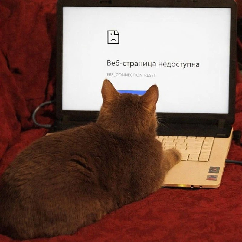 ⚡️ В Липецке перебои не только с интернетом, но и с работой Telegram

Сообщения могут не доходить, а