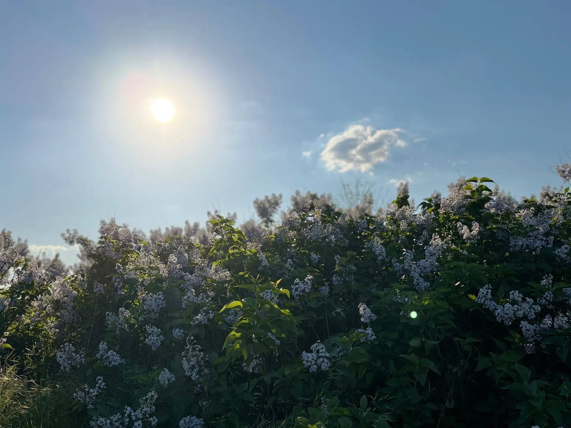 ☀️ Доброе утро, Азовский район!  Позади выходные — впереди новая рабочая неделя. Пусть она пролетит 