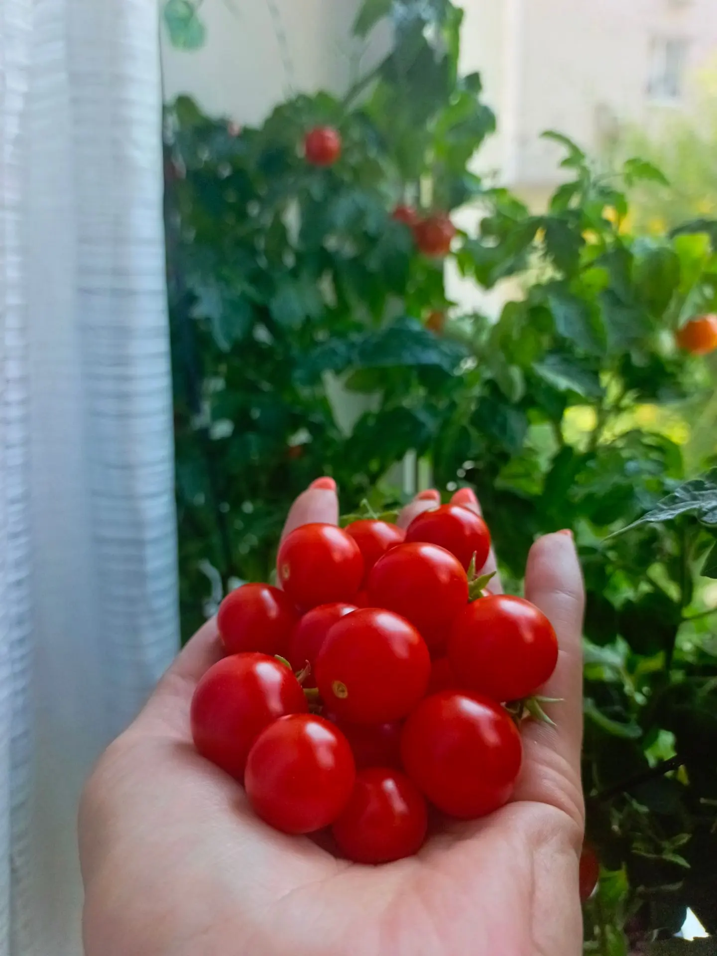 Всем доброго солнечного понедельника ☀️