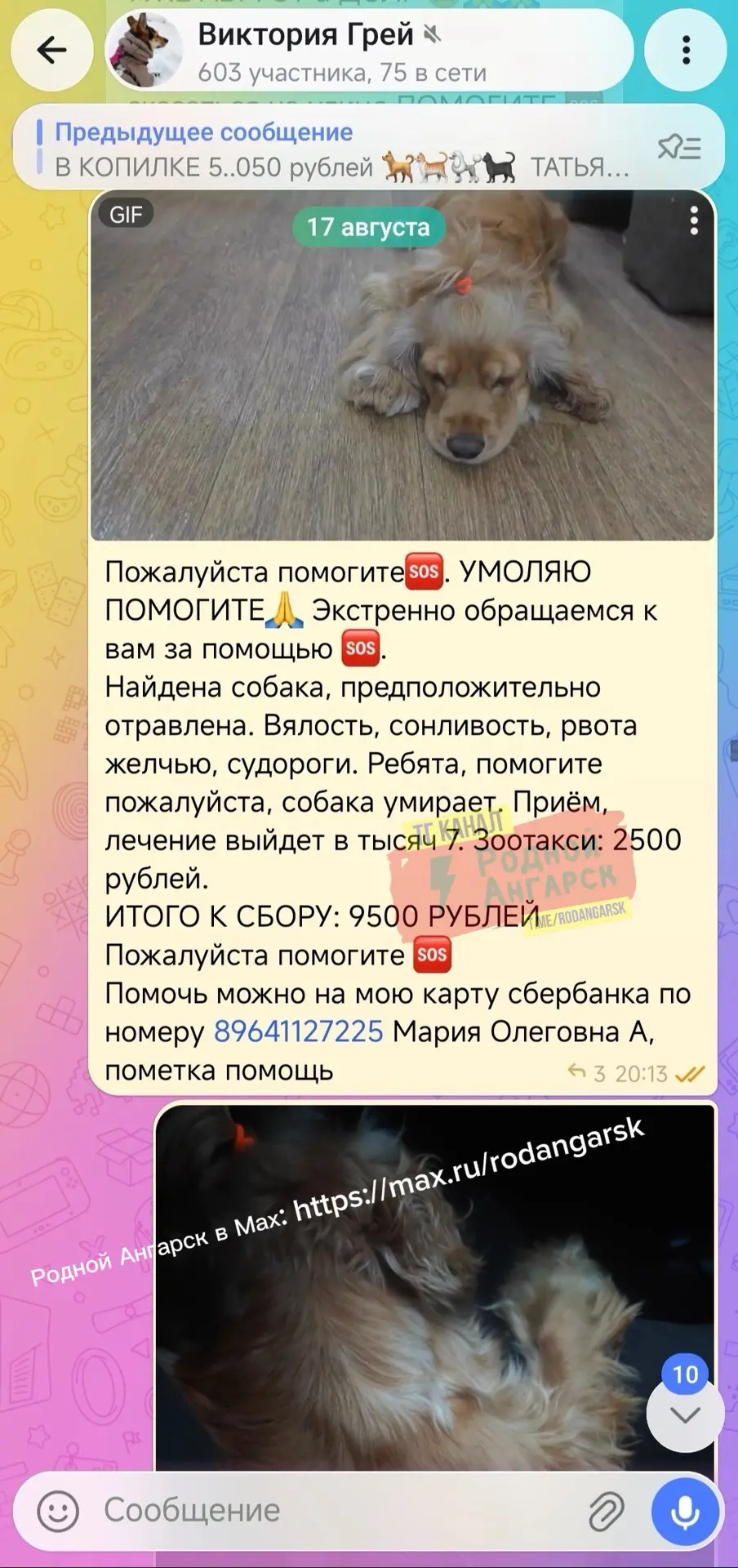 Здравствуйте. Возможно можно пожалуйста дополнить? Забыли дописать, только сейчас вспом...