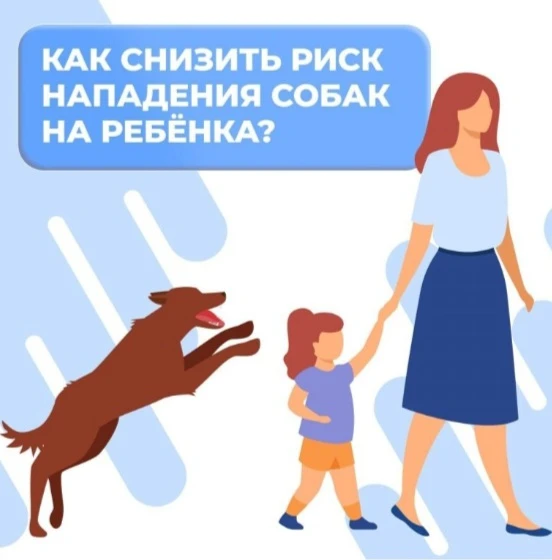 ⚠️ВСТРЕЧА С БРОДЯЧЕЙ СОБАКОЙ⚠️  ⏩️Собака - друг человека.  Но важно научить детей правилам, чтобы вс