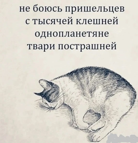 Люди провозглашают: "Все человеки - братья".