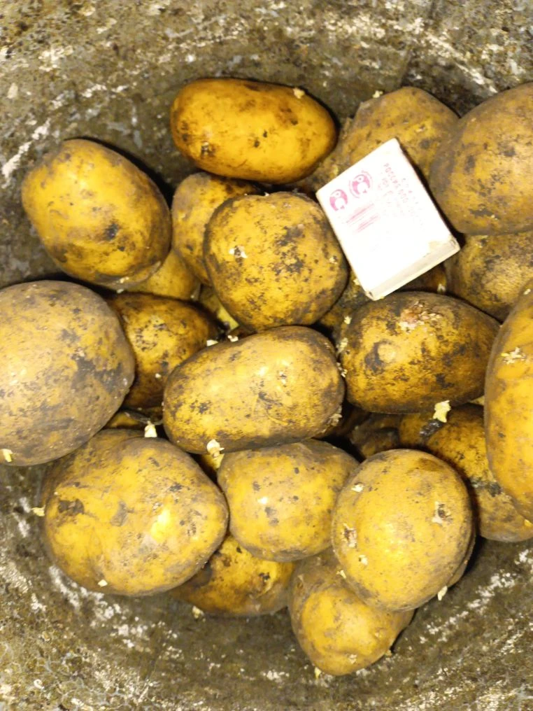 Продам картофель едовой 89272358183