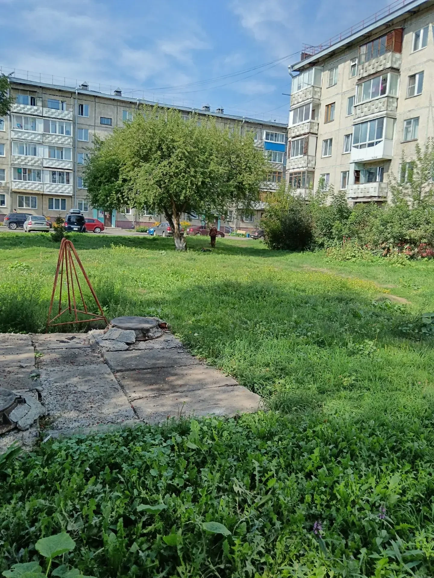 Окос территории дома пр.Ленинградский, 43.